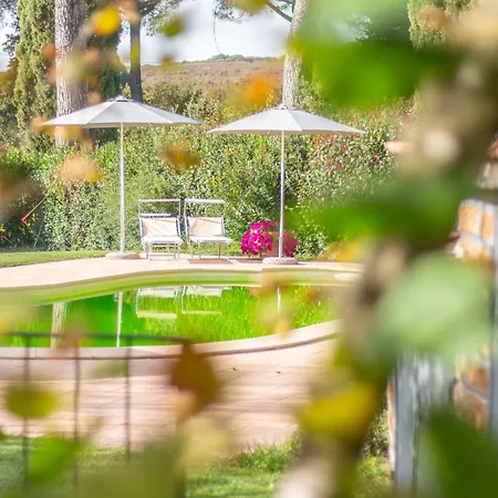 Casa di campagna Alloggi Turistici Ai Due Cedri Capranica