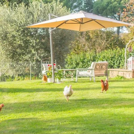 Alloggi Turistici Ai Due Cedri Casa di campagna *