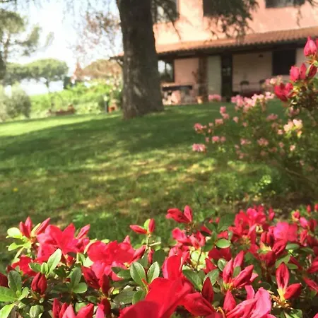 Alloggi Turistici Ai Due Cedri *